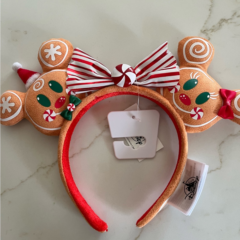 Disney Park Ears